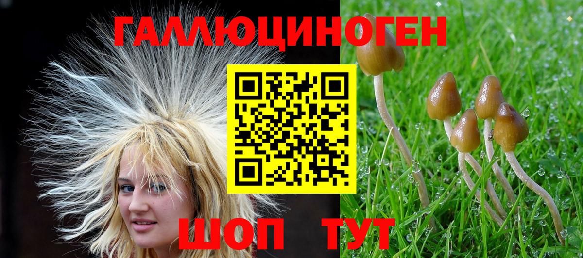 Псилоцибиновые грибы ЛСД  Вход с VPN  Дзержинск 